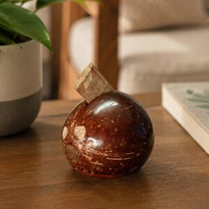 Coconut Piggy Bank