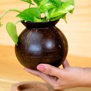 Coconut Shell Plant Pot with Cork Tray