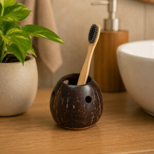 Coconut Shell Toothbrush Holder