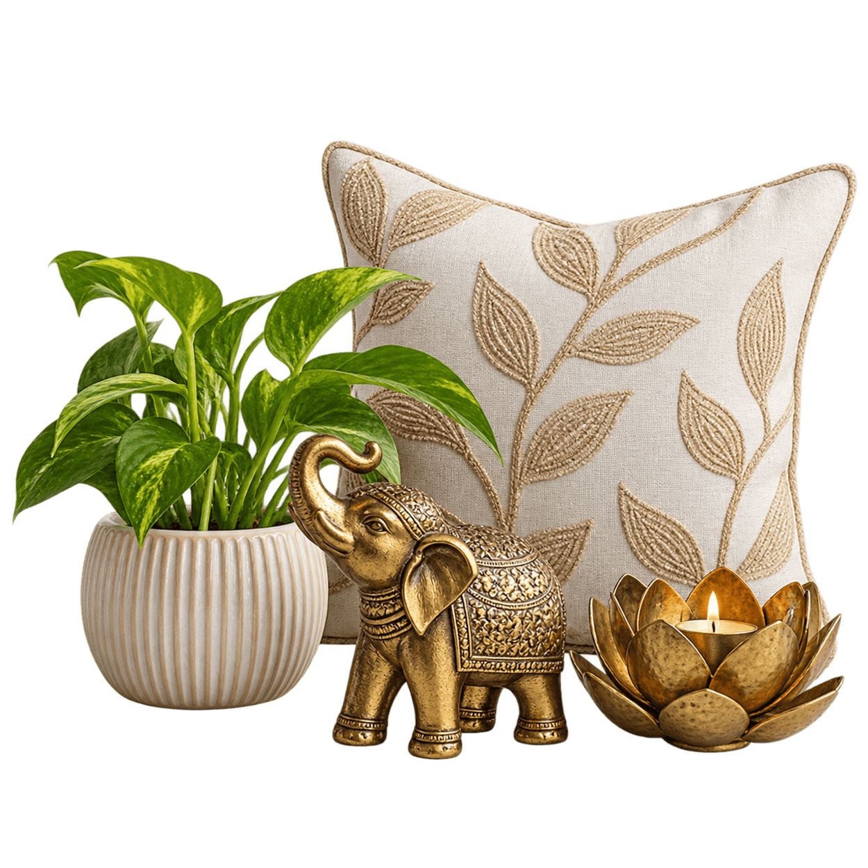 Dakshaara Home Decor Collection