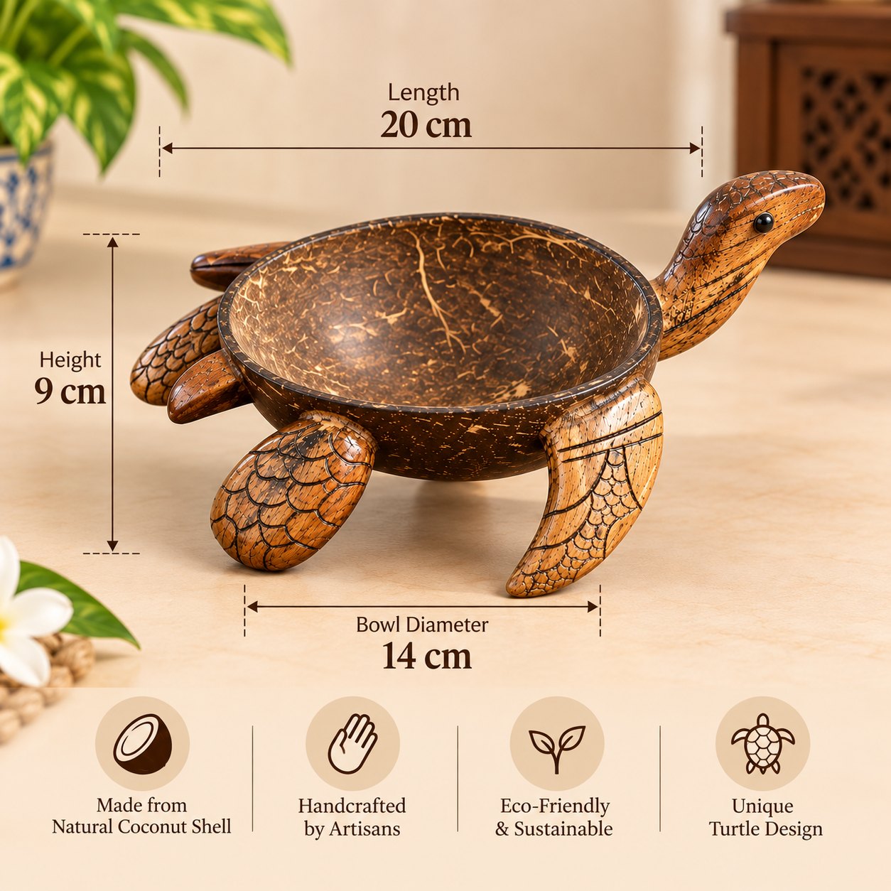 Turtle Coconut Bowl